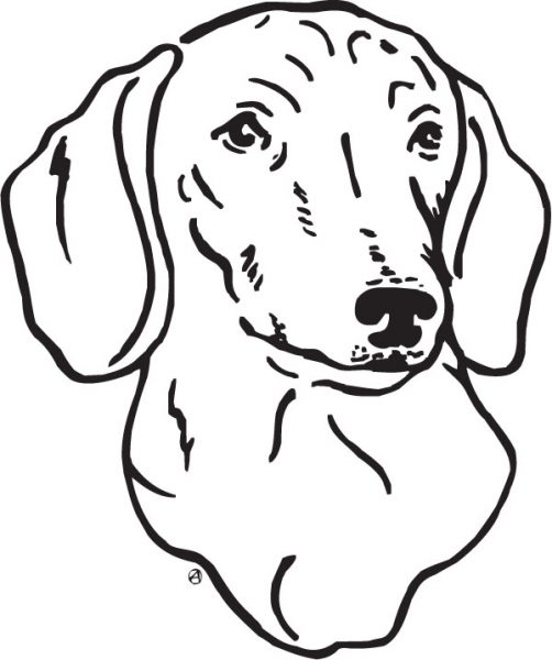 502x600 Dog Face Clipart 8 Nice Clip Art