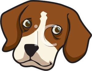 300x231 Face Of A Cute Beagle Clipart Picture