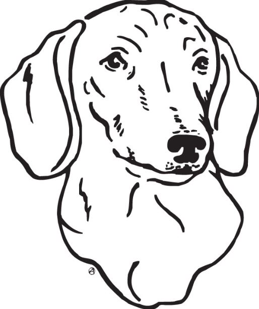514x614 Latest Free Download Dog Clipart Black And White Images All