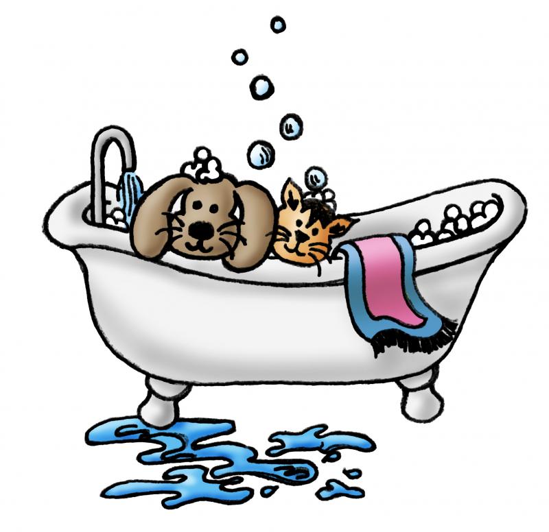 800x776 Dog Grooming Clip Art