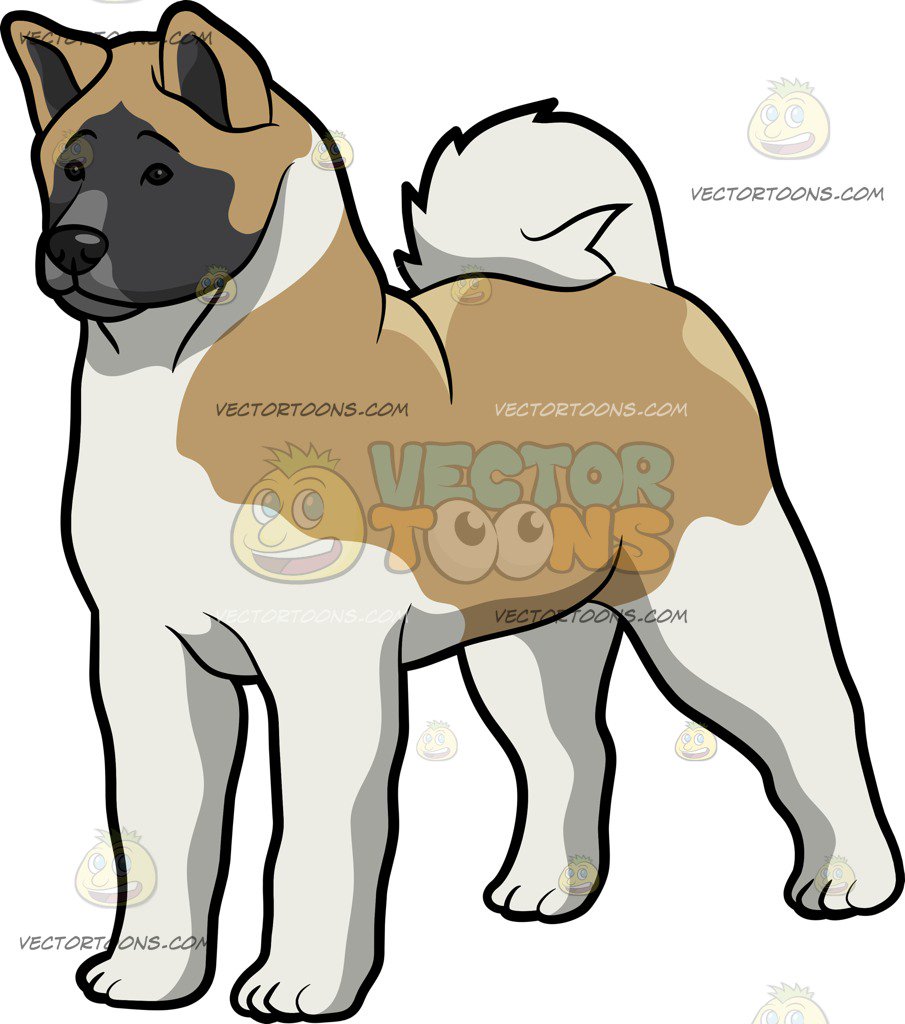 905x1024 An Observant Akita Dog Cartoon Clipart