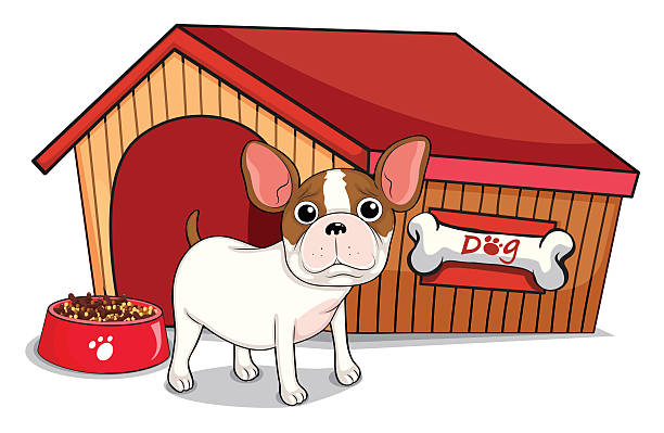 612x399 Godhouse Bulldog Clipart, Explore Pictures