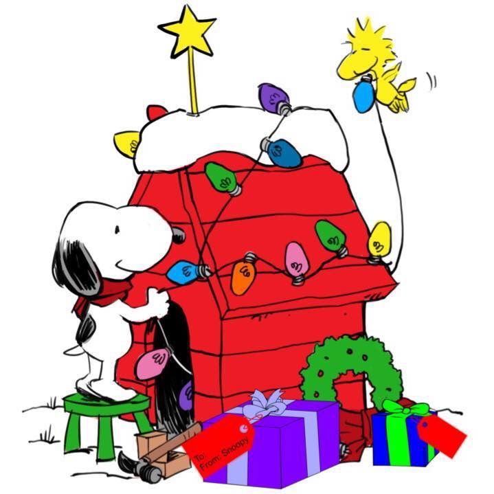 719x719 Pin By Susan Phillips On Snoopy Dog And Woodstock