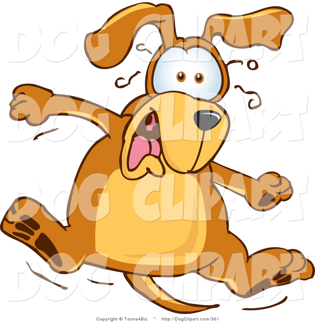 1024x1044 Royalty Free Scared Stock Dog Designs