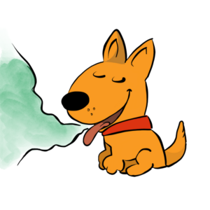 300x300 How Cleaning Your Dogs Teeth Can Lead To A Happy Healthy Life