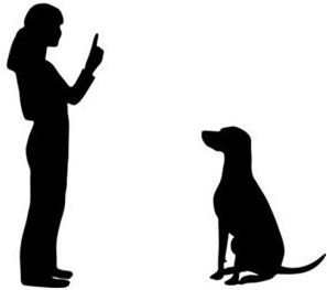 297x263 Pet Clipart Dog Training