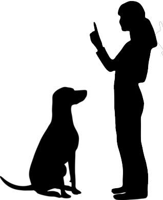 318x390 Pets Clipart Dog Training
