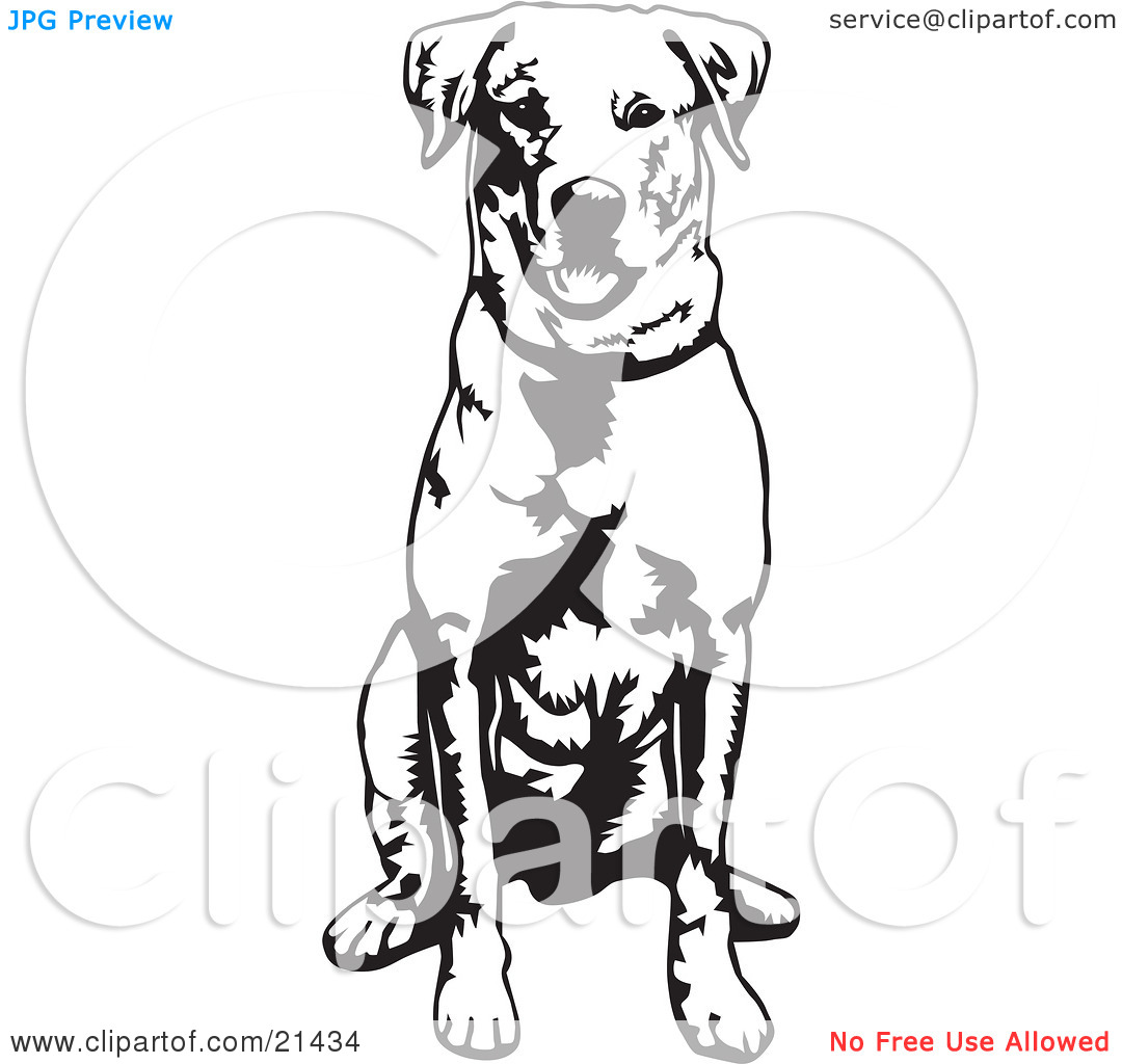 1080x1024 Rally Obedience Clipart