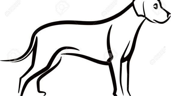 570x320 Outline Drawing Of A Dog Dog Outline Face Drawing Free Clipart