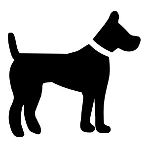 300x300 Shadow Clipart Dog And Cat
