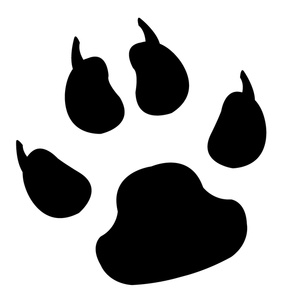285x300 Dog Paw Print Clip Art Free Download Free 5 Image