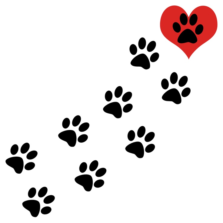 736x736 Dog Paw Print Cliparts And Others Art Inspiration