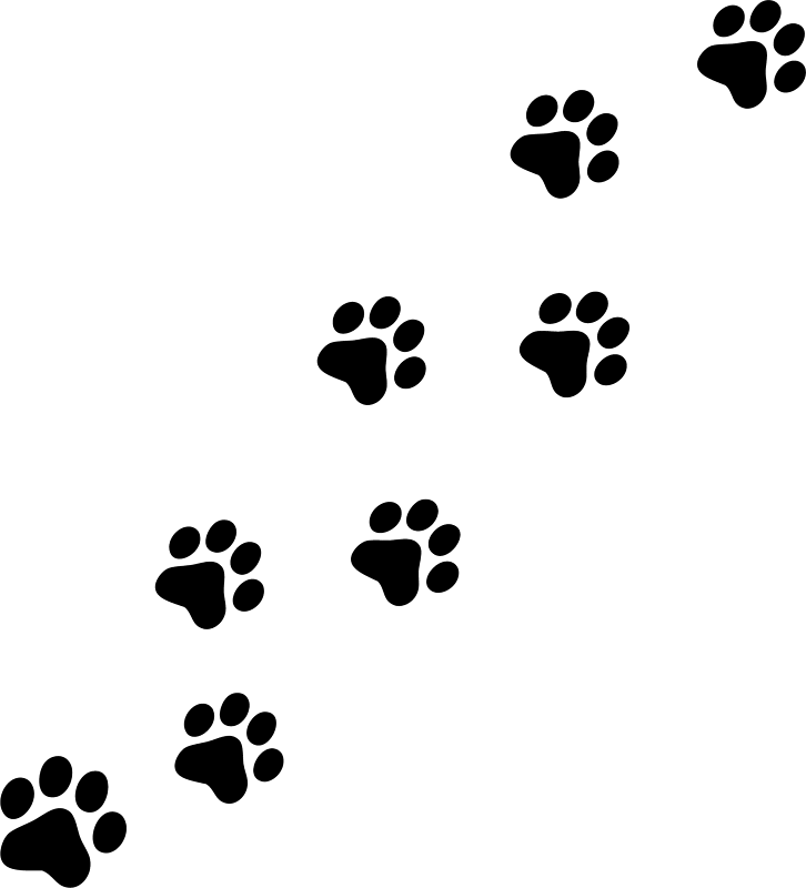 726x800 Paw Print Tattoos On Dog Paw Prints Scroll Clipart 3 6