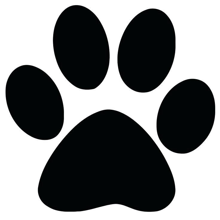 736x736 Pics Of Paw Prints