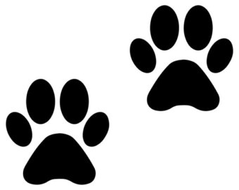 340x270 Dog Paw Etsy