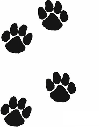 350x443 Paw Print Graphic