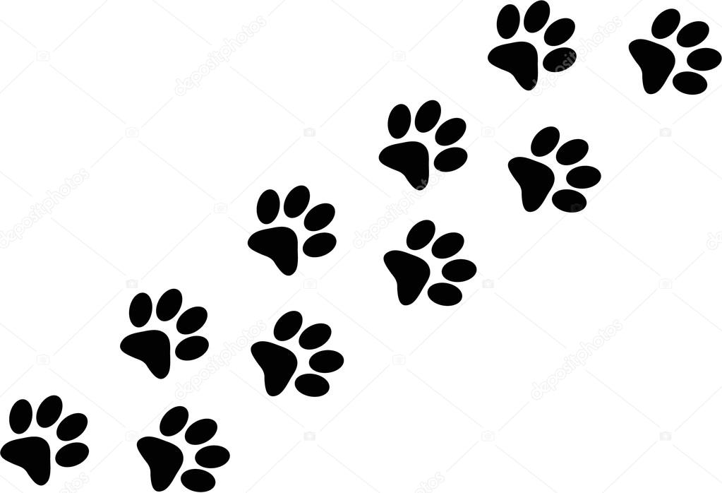 1023x698 Dog Paw Prints Trail