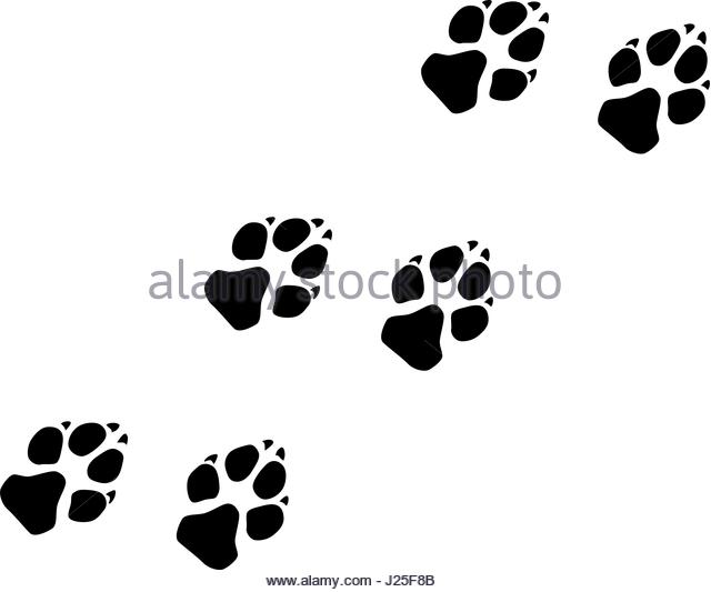 640x533 Paw Prints Illustration Dog Stock Photos Amp Paw Prints Illustration