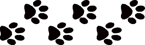 609x192 Paw Clipart Litter Puppy