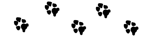 576x144 Clipart Dog Print Trail