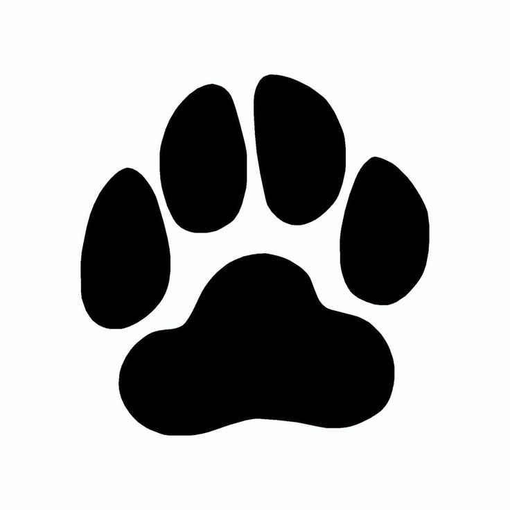 736x735 Best Paw Print Clip Art Ideas Paw Print Drawing