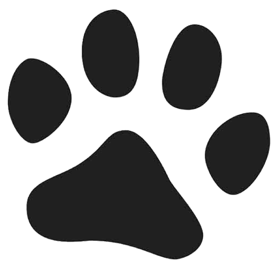 900x900 Paw Print Silhouette