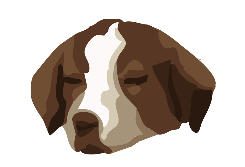 800x546 Free Clipart Bored Dog 01 Anonymous