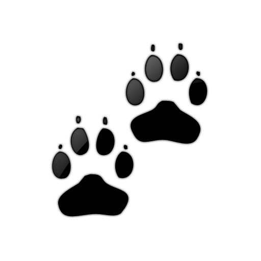 512x512 Paw Clipart Real Dog