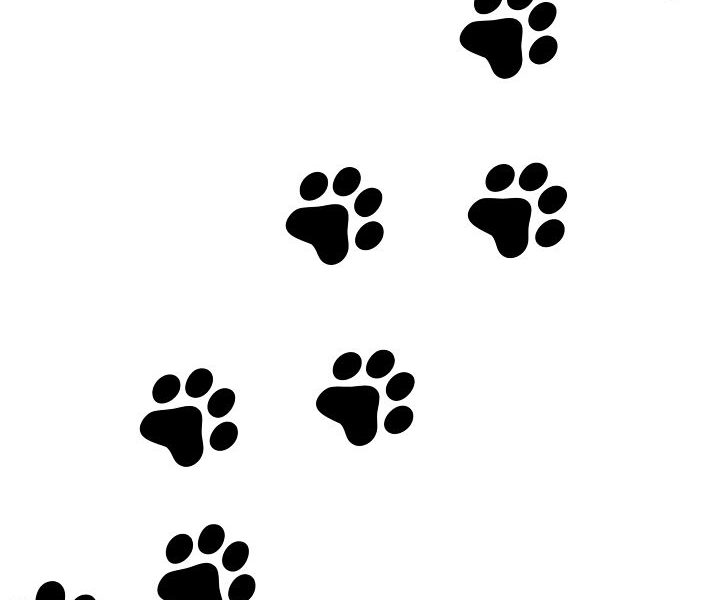 726x600 Bold Ideas Paw Prints Clip Art Best 25 Print Dog