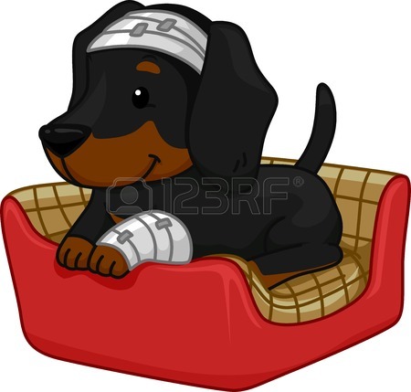 450x429 Illustration Of A Cute Dog Sitting On A Birthday Cake Royalty Free