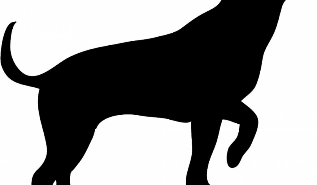 1024x600 Cat And Dog Silhouette Clip Art