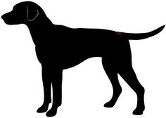 236x168 Labrador Silhouette Clip Art Labrador Silhouette Clipart Diy