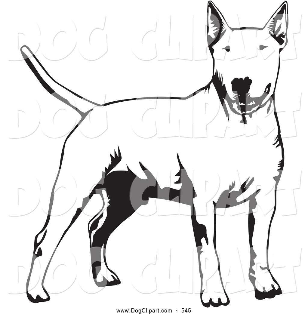 1024x1044 Dog's Tail Clipart