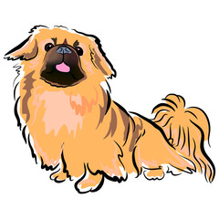 240x240 Search Photos Lion Dog