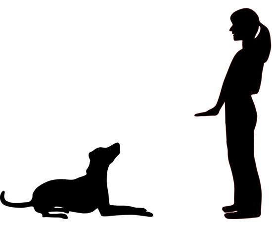 550x458 Pets Clipart Dog Training
