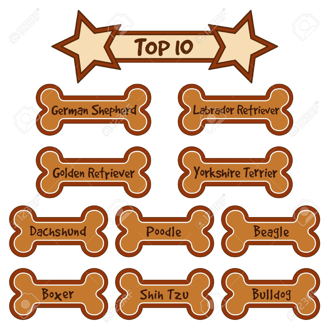 1300x1300 Golden Retriever Dog Bone Clipart, Explore Pictures