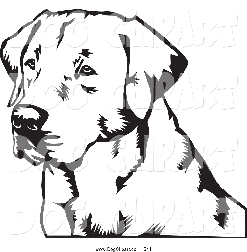 1024x1044 Vector Clip Art Of A Cute Labrador Retriever Dog By David Rey