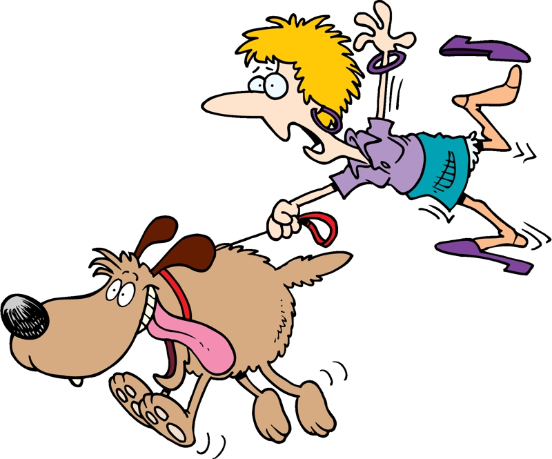 800x665 Clipart Walking Dog