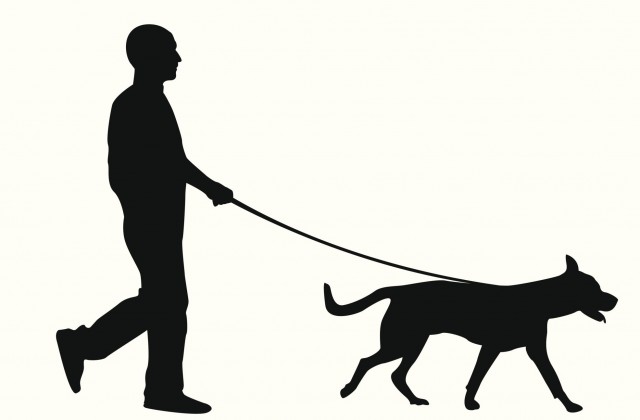 640x420 Person Walking Dog Clipart