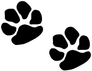 300x232 Paw Print Tattoos On Dog Paw Prints Scroll Tattoos Clipart 3