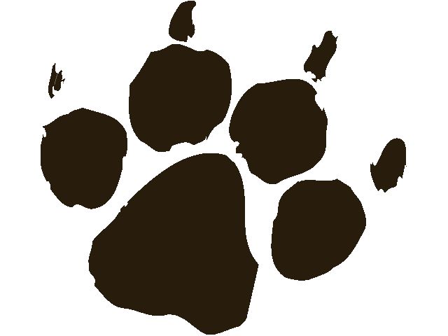 640x480 The Ideas About Paw Print Clip Art On Dog Paw 3