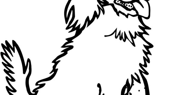 570x320 Black White Dog Drawing Black White Dog Clipart Black