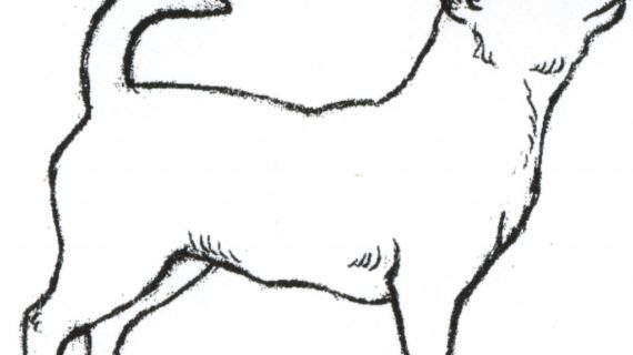 570x320 Drawings Of Dogs How To Draw A Cute Cartoon Dog Step Step Youtube