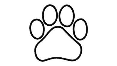390x221 Dog Paw Outline Group