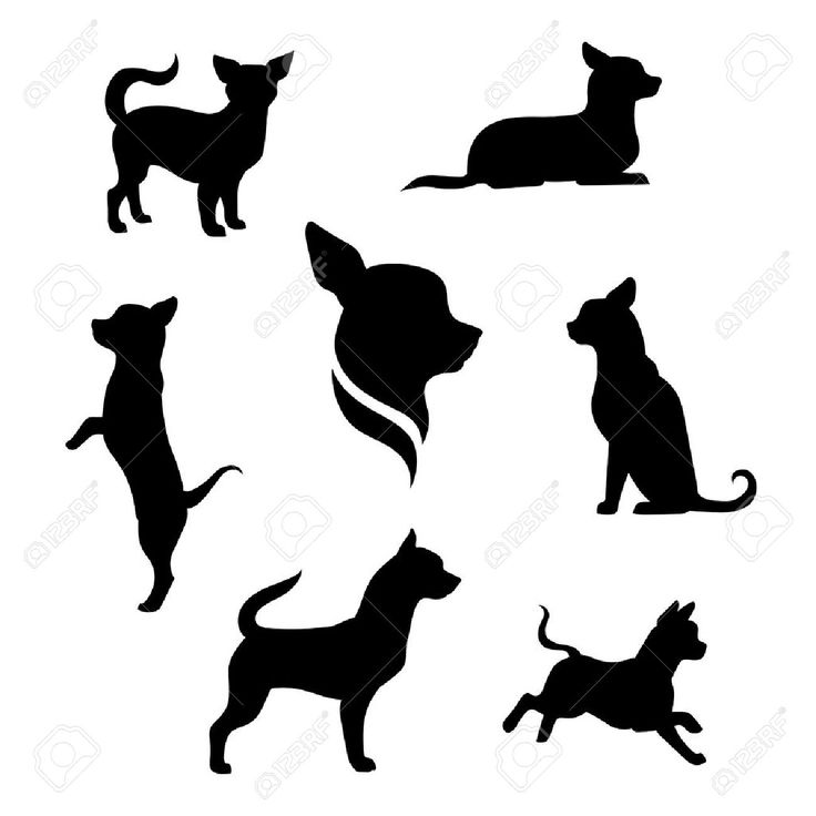 736x736 202 Best Silhouettes Dog Silhouettes Images