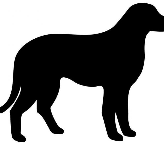 678x600 Dog Outlines Dogs Outline Free Download Clip Art Free Clip Art