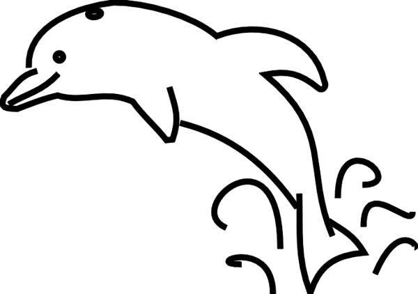 600x422 Dolphins Clipart Black And White