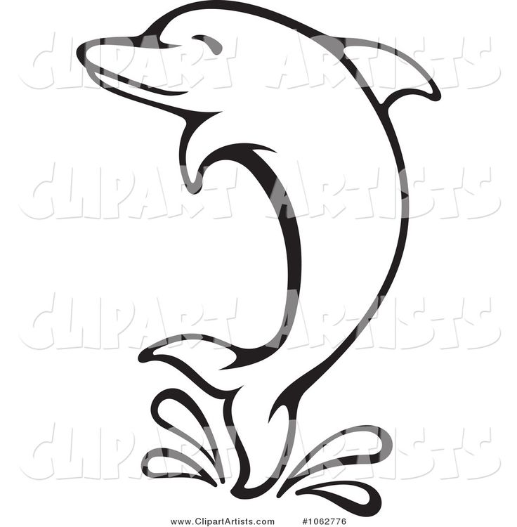736x750 Free Dolphin Clipart Black And White