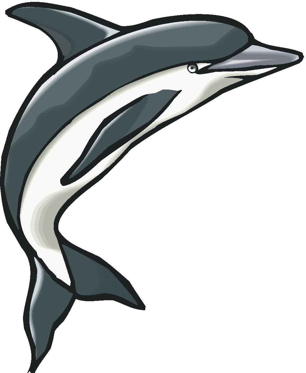 986x1200 Best Dolphin Clipart