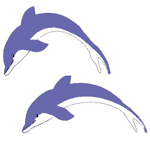 480x480 Dolphin Clip Art Free